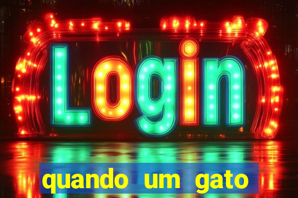 quando um gato aparece do nada significado espiritual